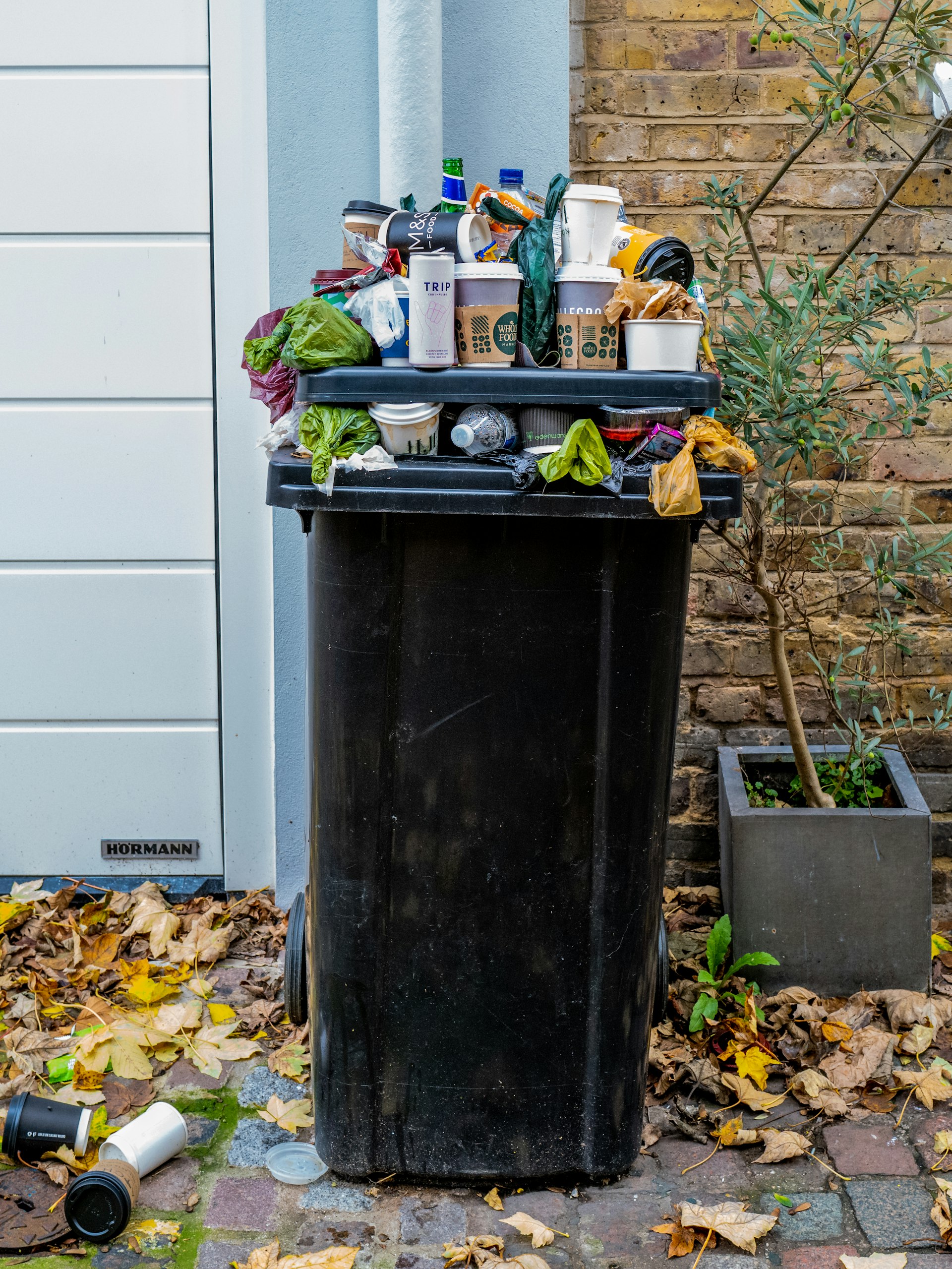 Transform Urban Gardens with Modern Compost Bins: Smart Solutions for Sustainable City Living
