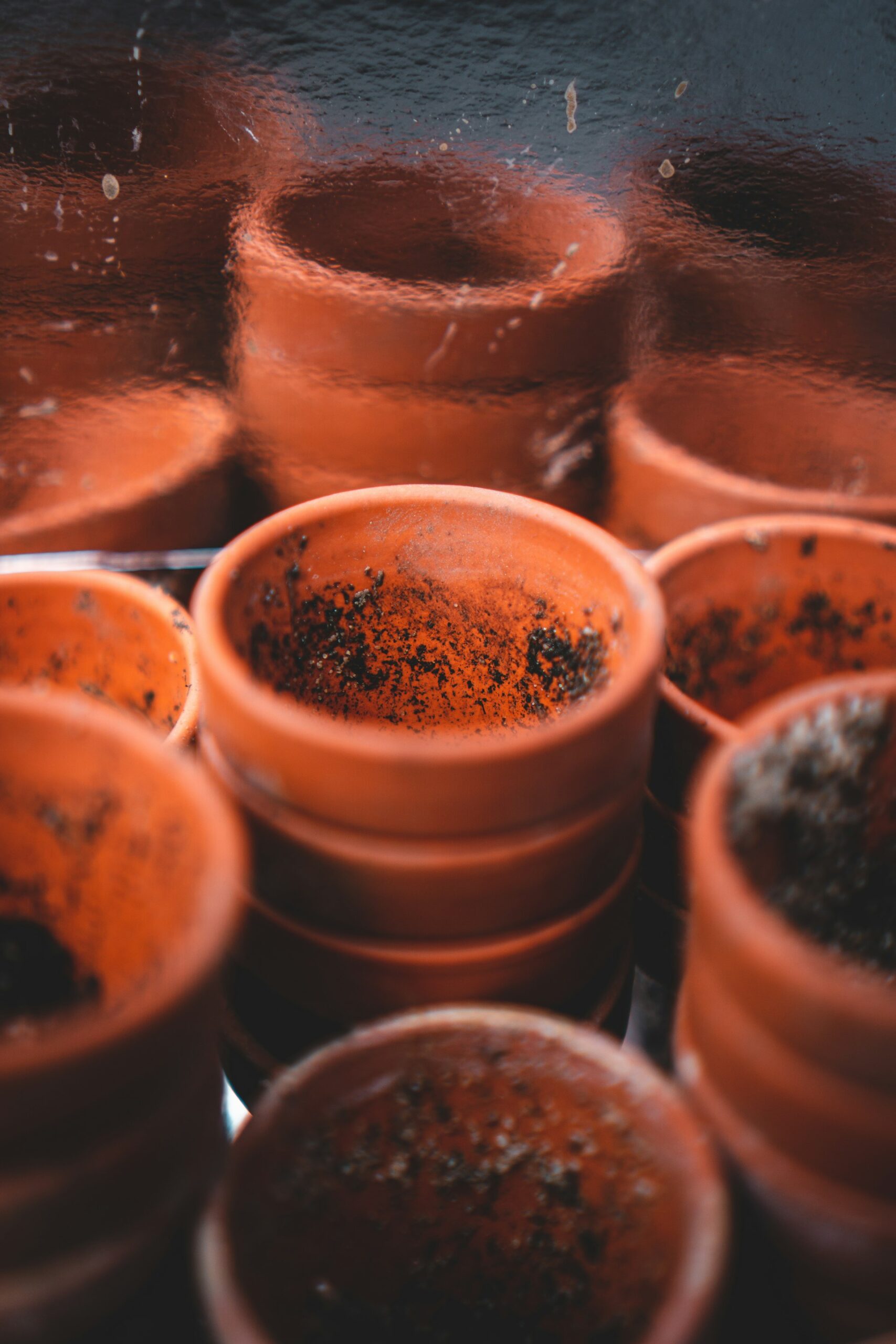 A Comprehensive Guide to Choosing and Using Biodegradable Seedling Starter Pots