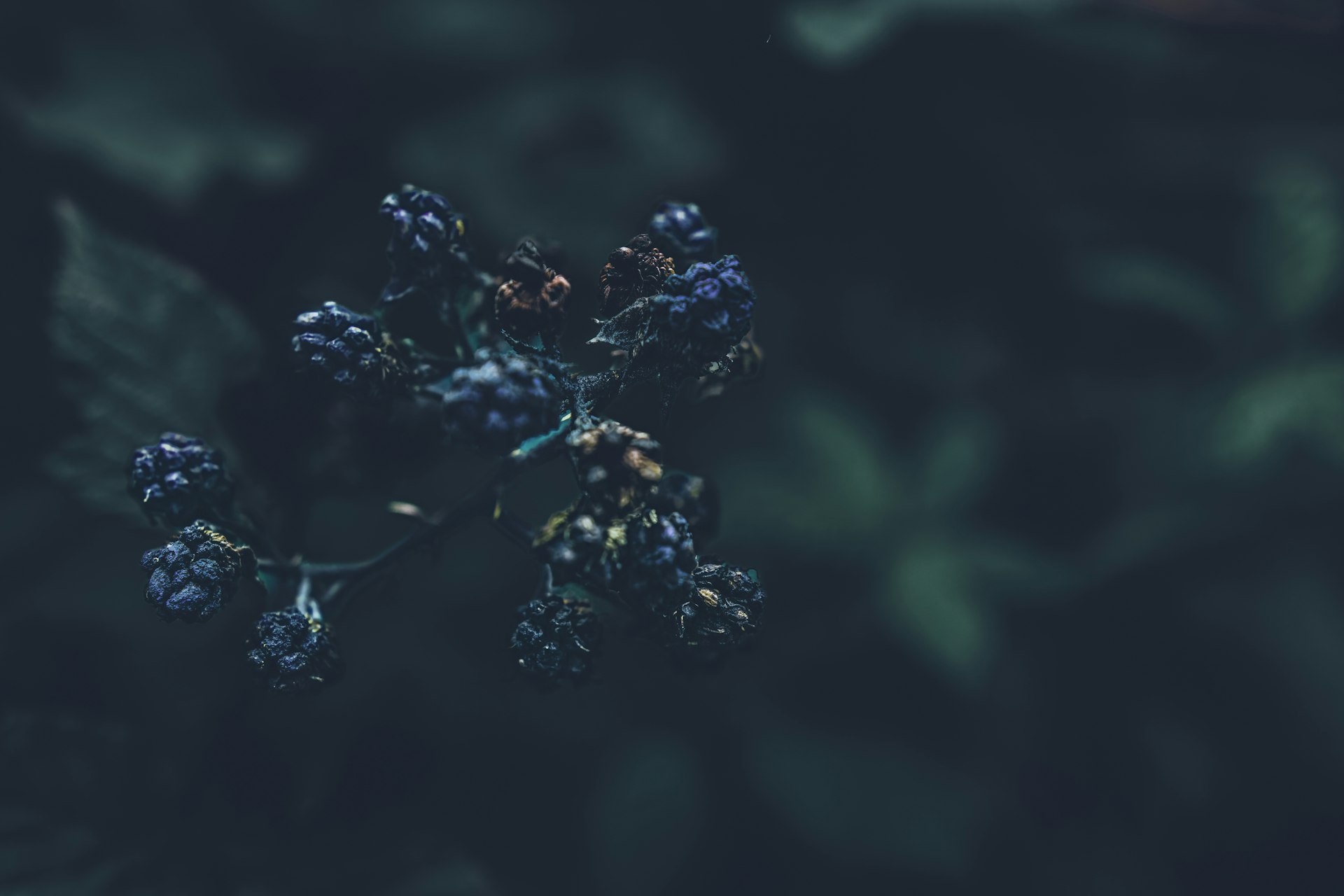 Transforming Drug Discovery: The Impact of Machine Learning in 2025